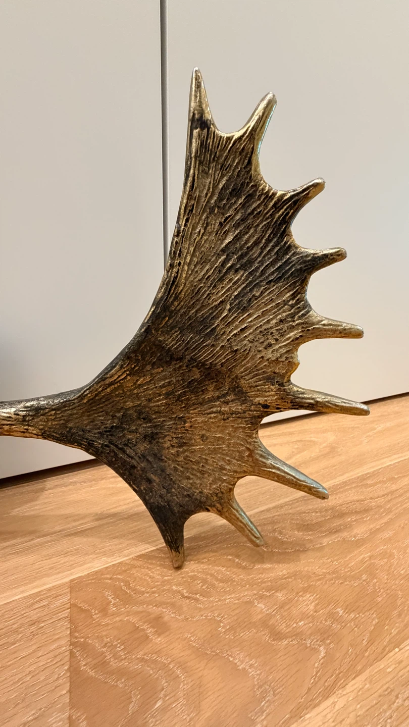 Metal Mounted Antlers - photo 2