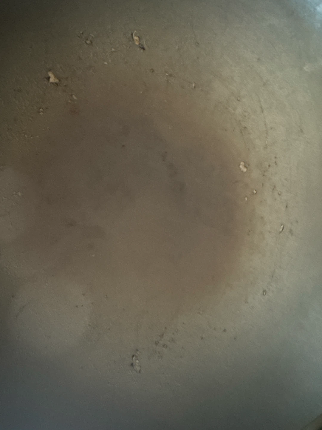 Breville Electric Skillet Wok - photo 4
