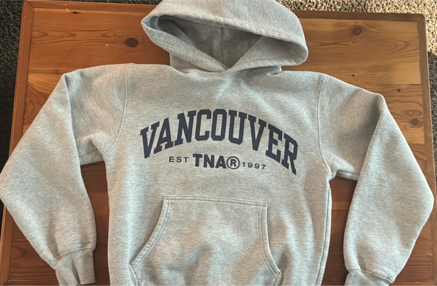 New Aritzia TNA Rare Vancouver Hoodie