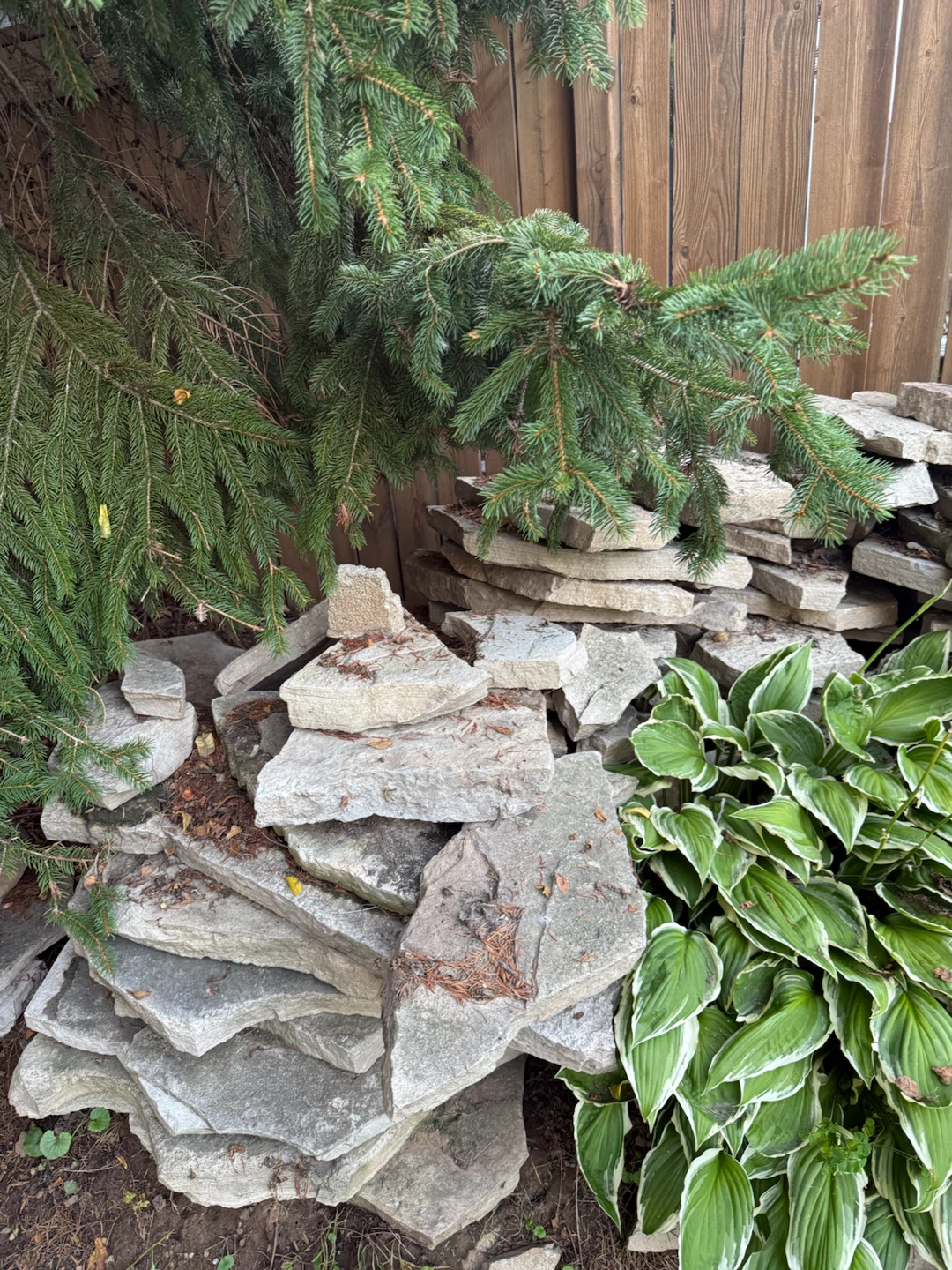 Natural Flagstone Slabs for Landscaping