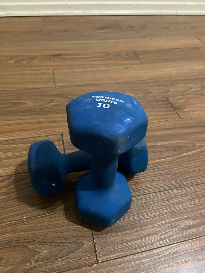 Northern Lights 10 lb Dumbbells (Pair)
