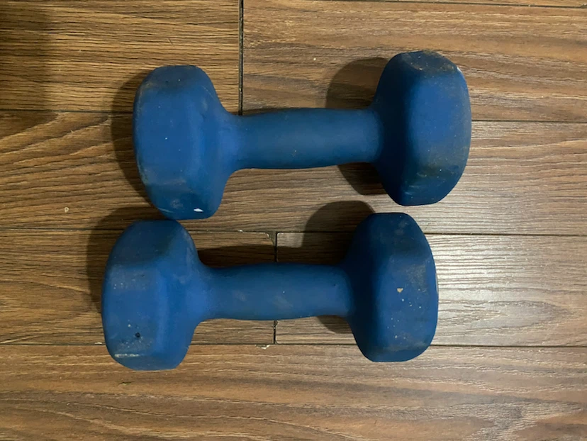 Northern Lights 10 lb Dumbbells (Pair) - photo 2