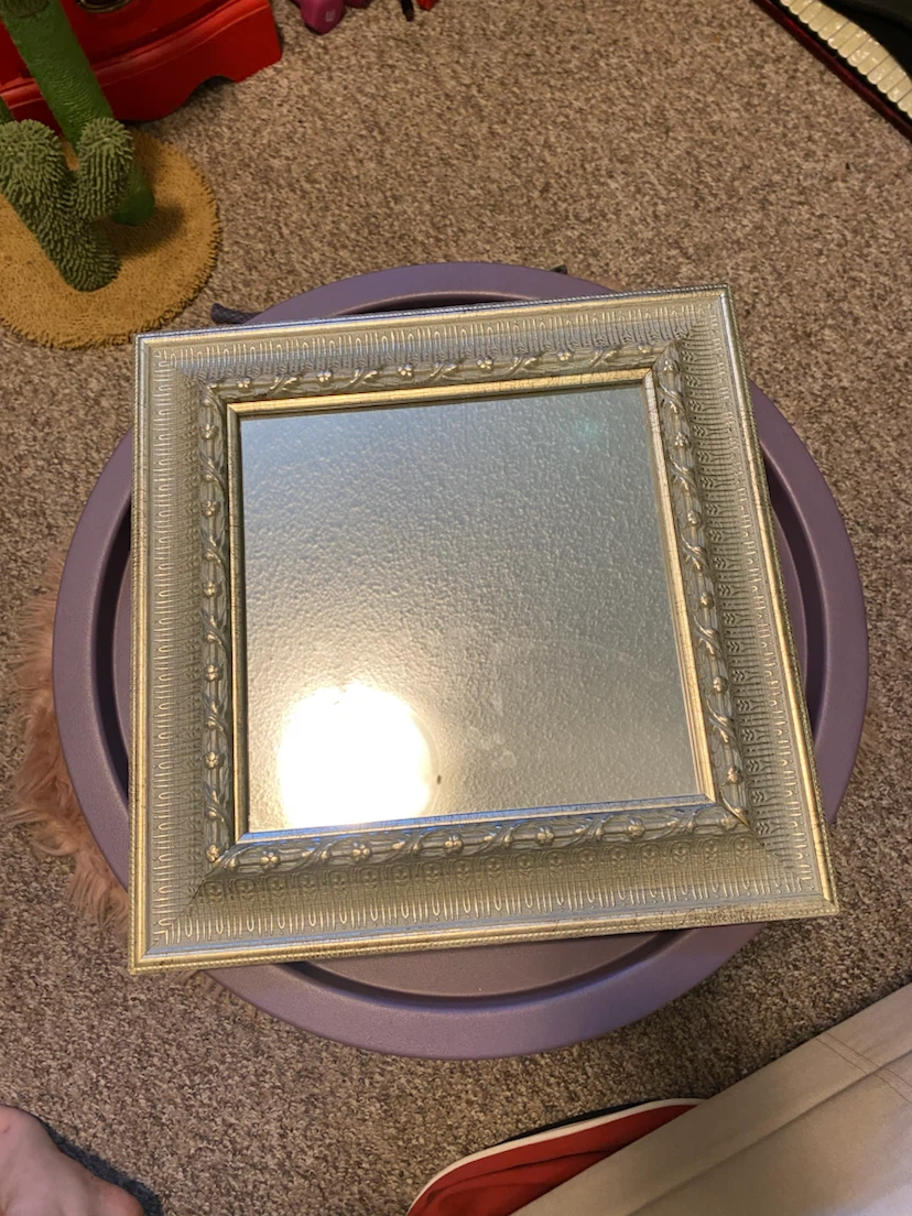 Mirror