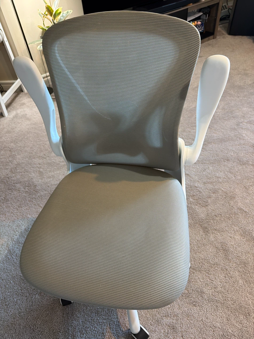 Mesh Office Chair
