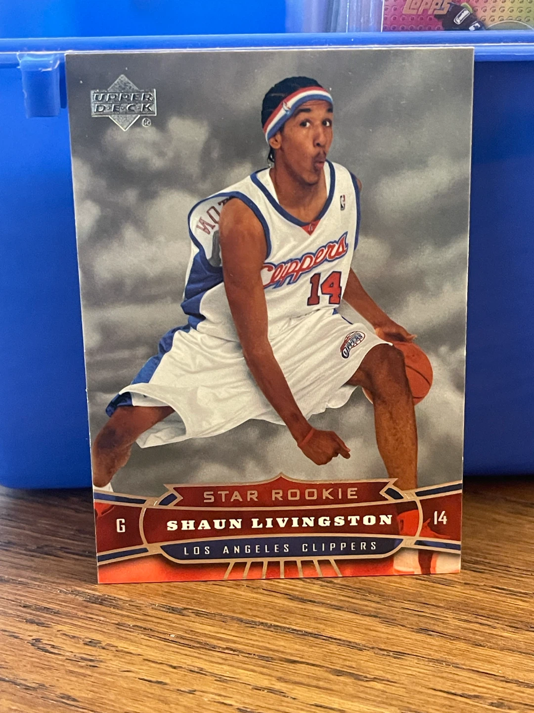 2004 Upper Deck Shaun Livingston Star Rookie Card