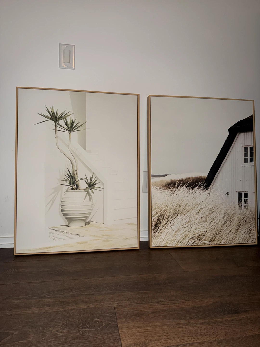 Set of 2 Framed Wall Art Prints - Coastal & Plant Theme