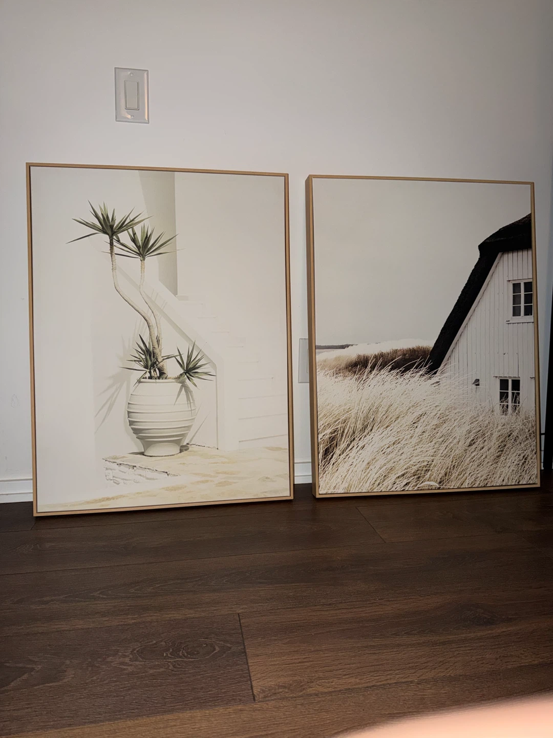 Set of 2 Framed Wall Art Prints - Coastal & Plant Theme - photo 2