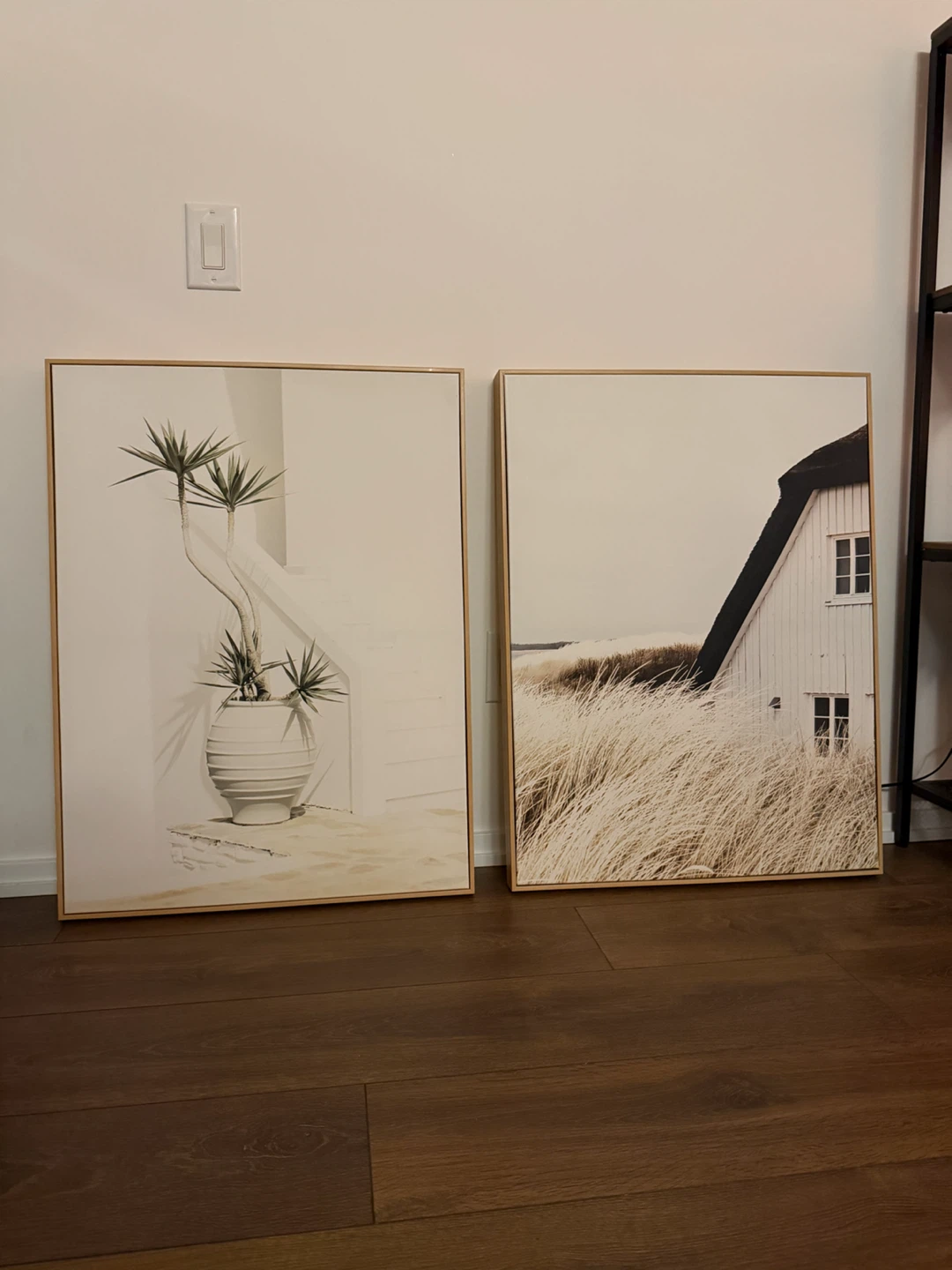 Set of 2 Framed Wall Art Prints - Coastal & Plant Theme - photo 3
