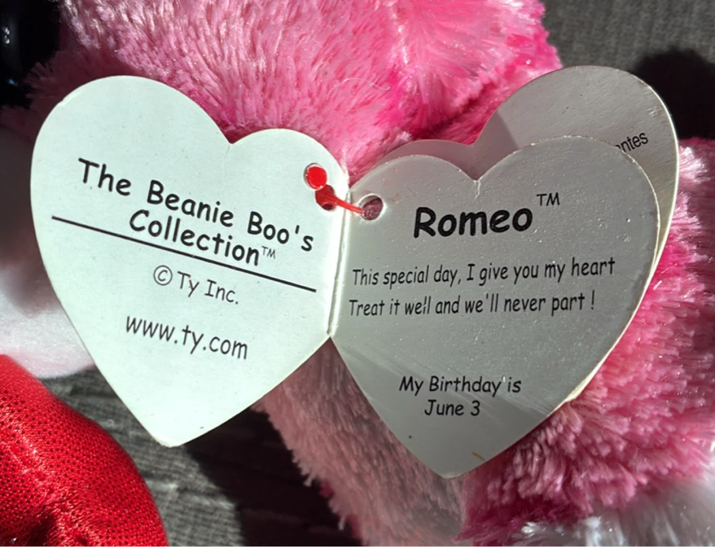 New w tags Ty Beanie Boos Romeo and Juliet Plushies - photo 5