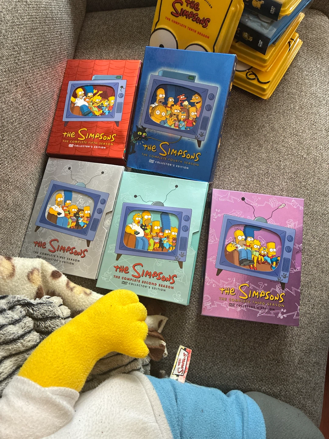 The Simpsons DVD Collector's Edition Seasons