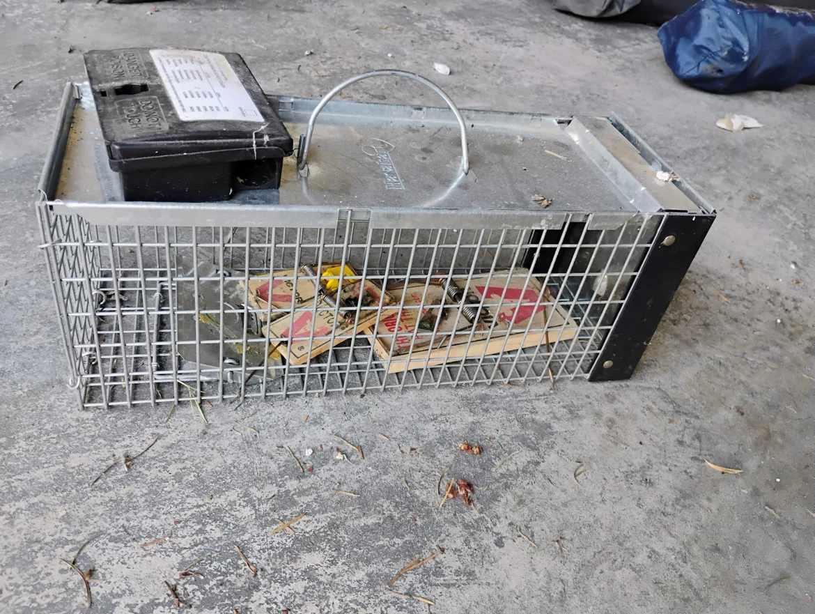 Live Animal Mouse Trap