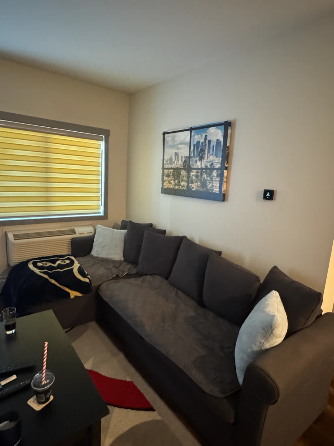 Pull out couch