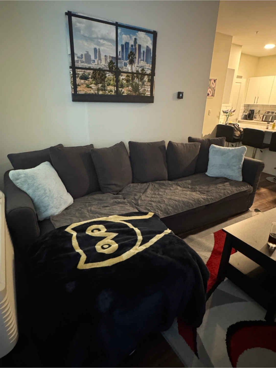 Pull out couch - photo 2