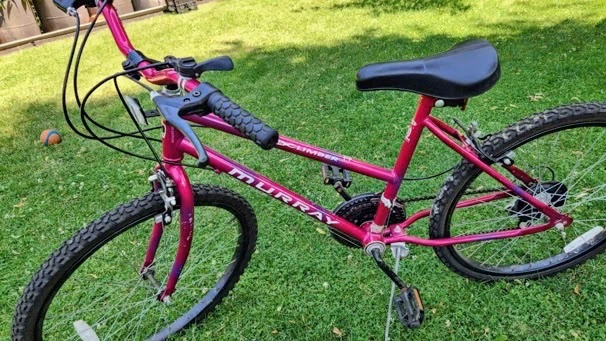 24" Murray Mountain Climber bike.