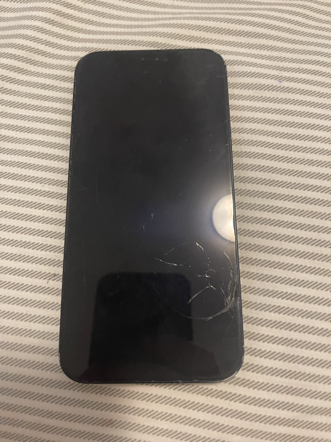 Apple iPhone 12 - photo 3