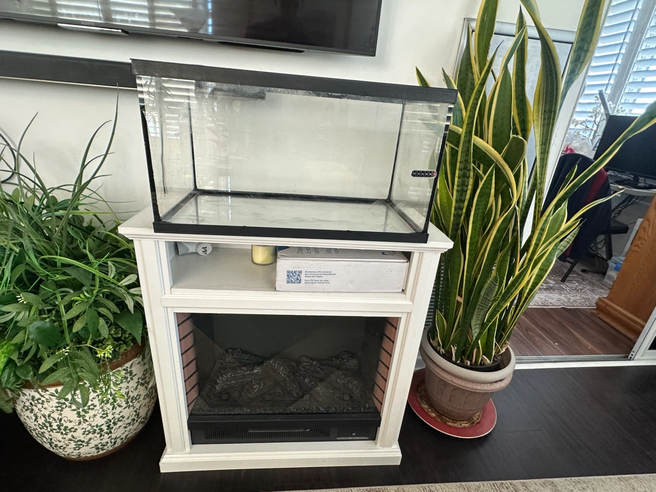 20 Gallon.  Glass Fish tank