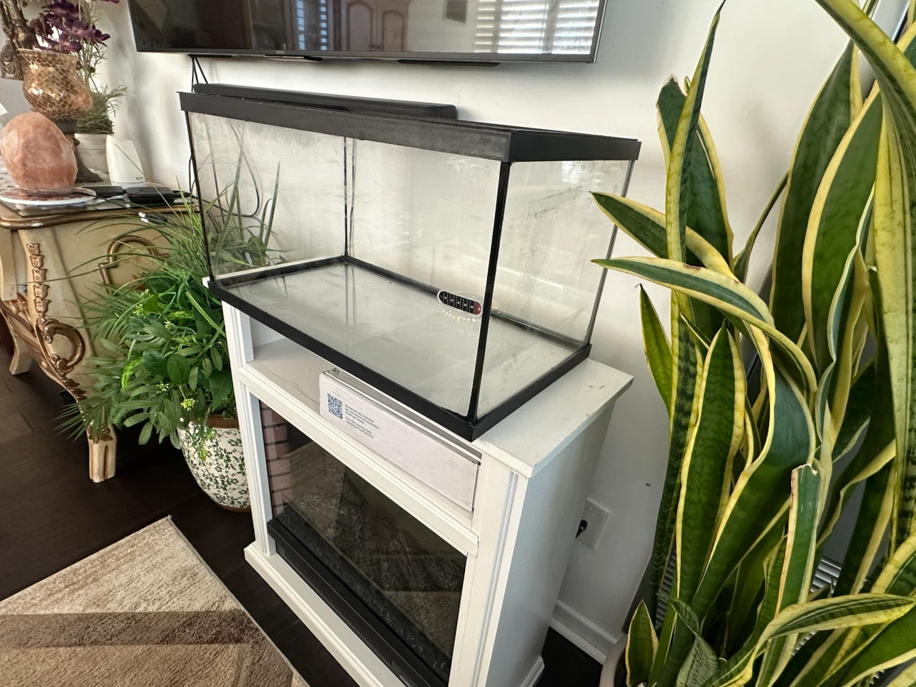 20 Gallon.  Glass Fish tank - photo 2