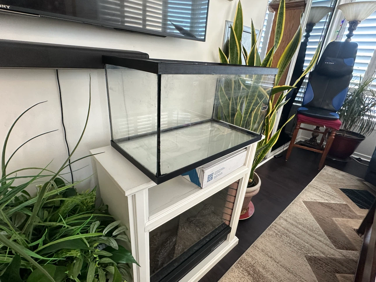 20 Gallon.  Glass Fish tank - photo 3