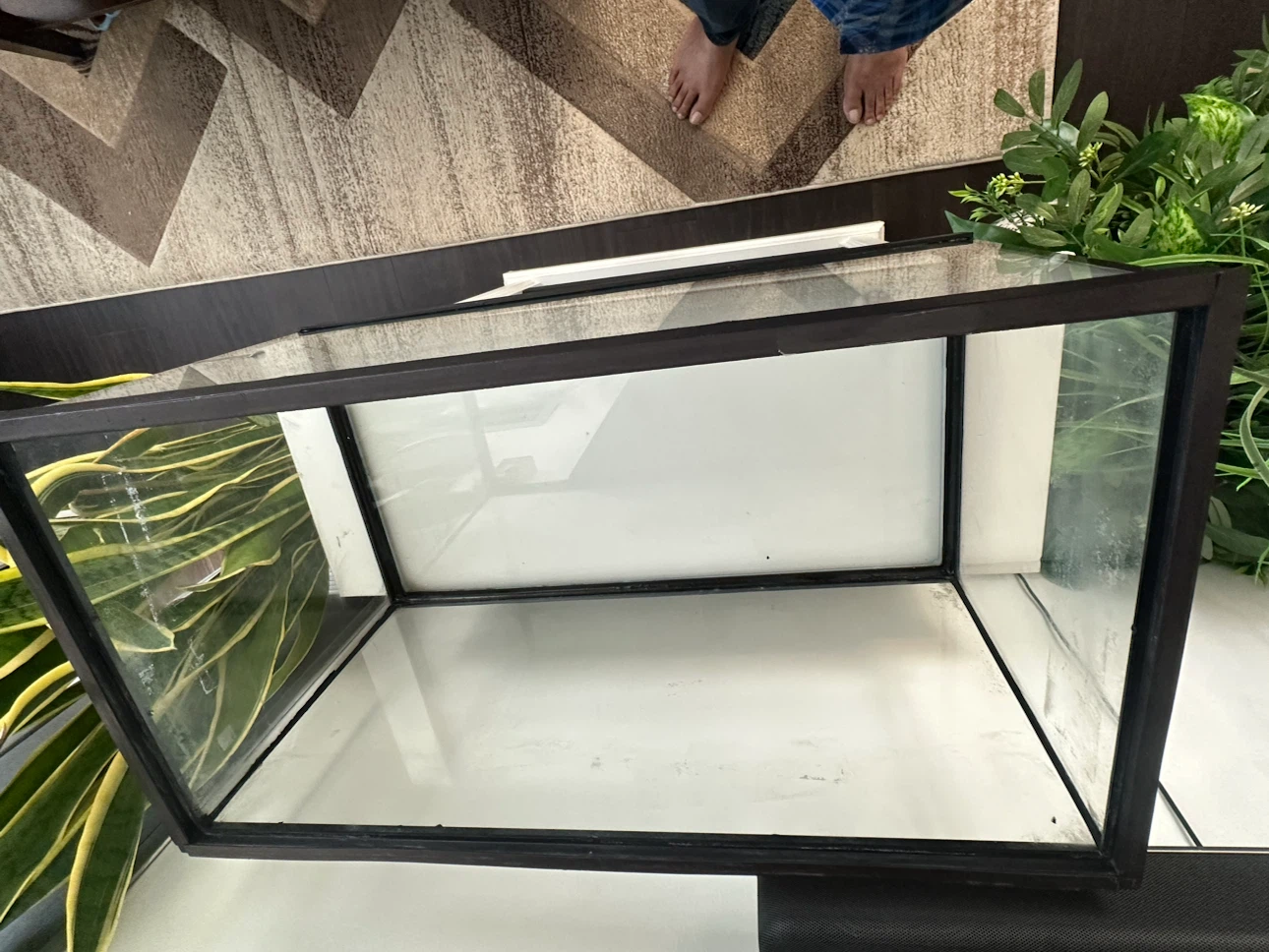 20 Gallon.  Glass Fish tank - photo 4