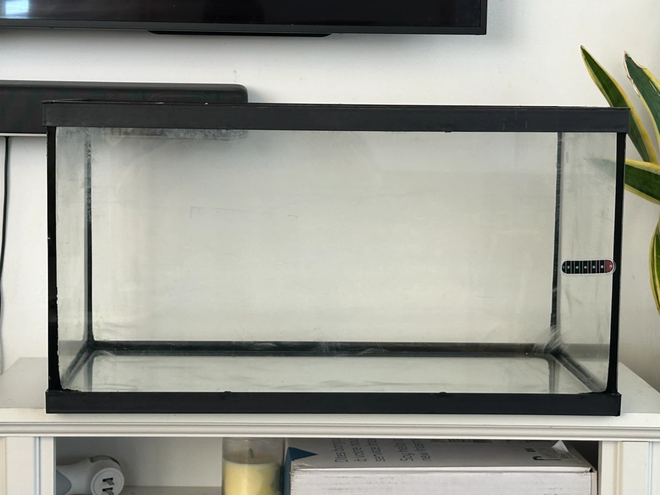 20 Gallon.  Glass Fish tank - photo 5
