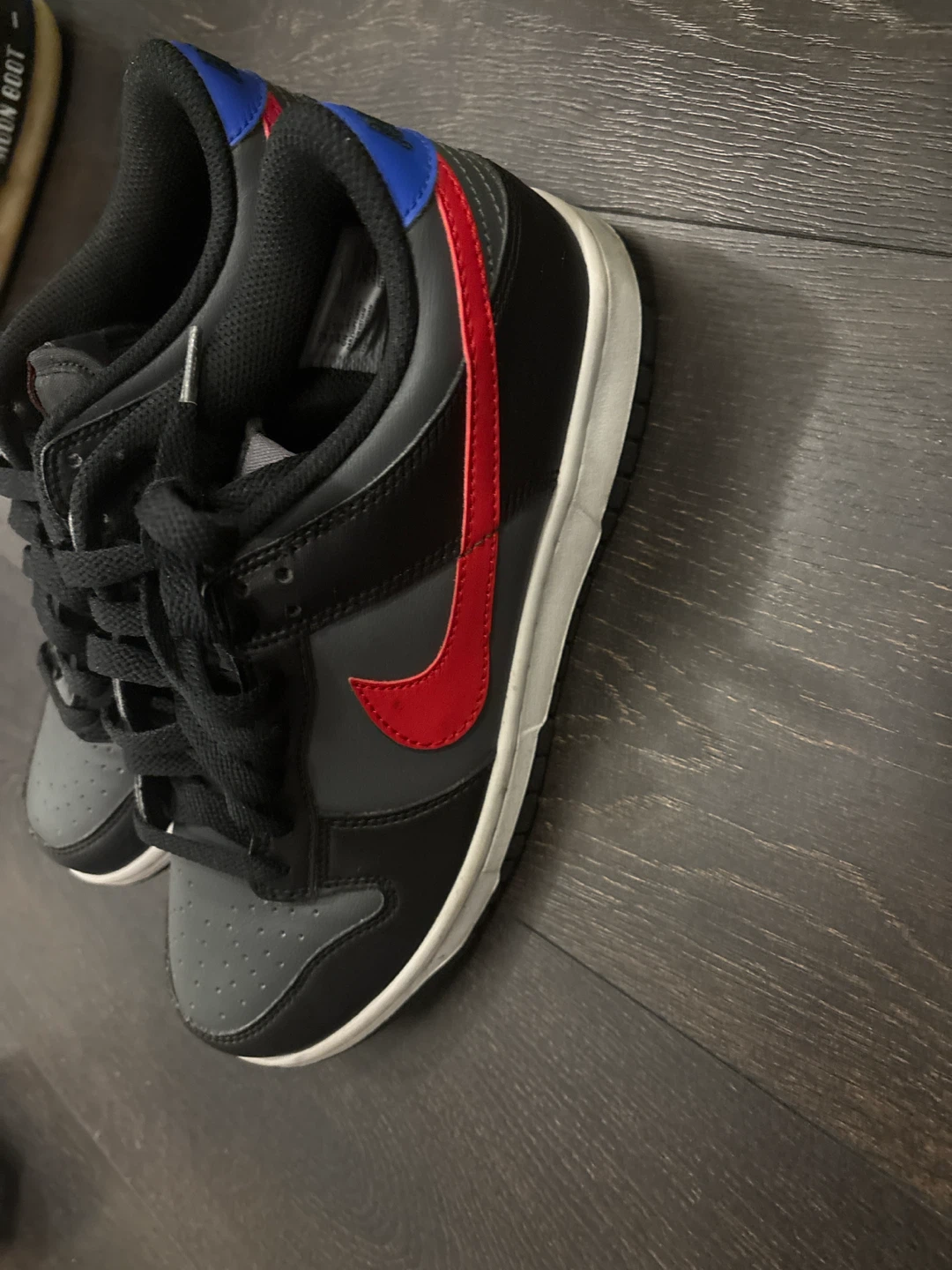 Nike Dunk Low  Youth Shoes