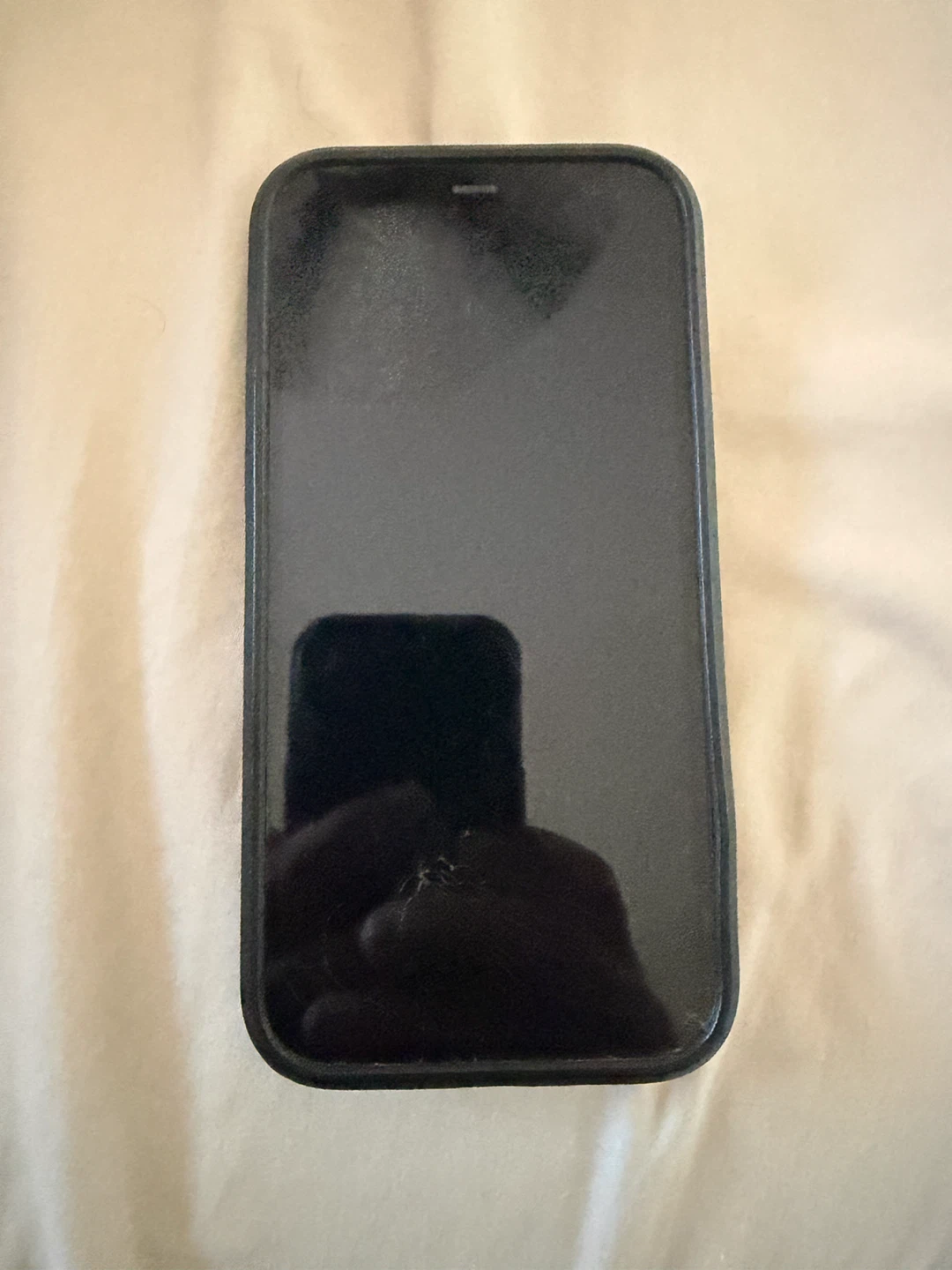 iPhone 12 - photo 4