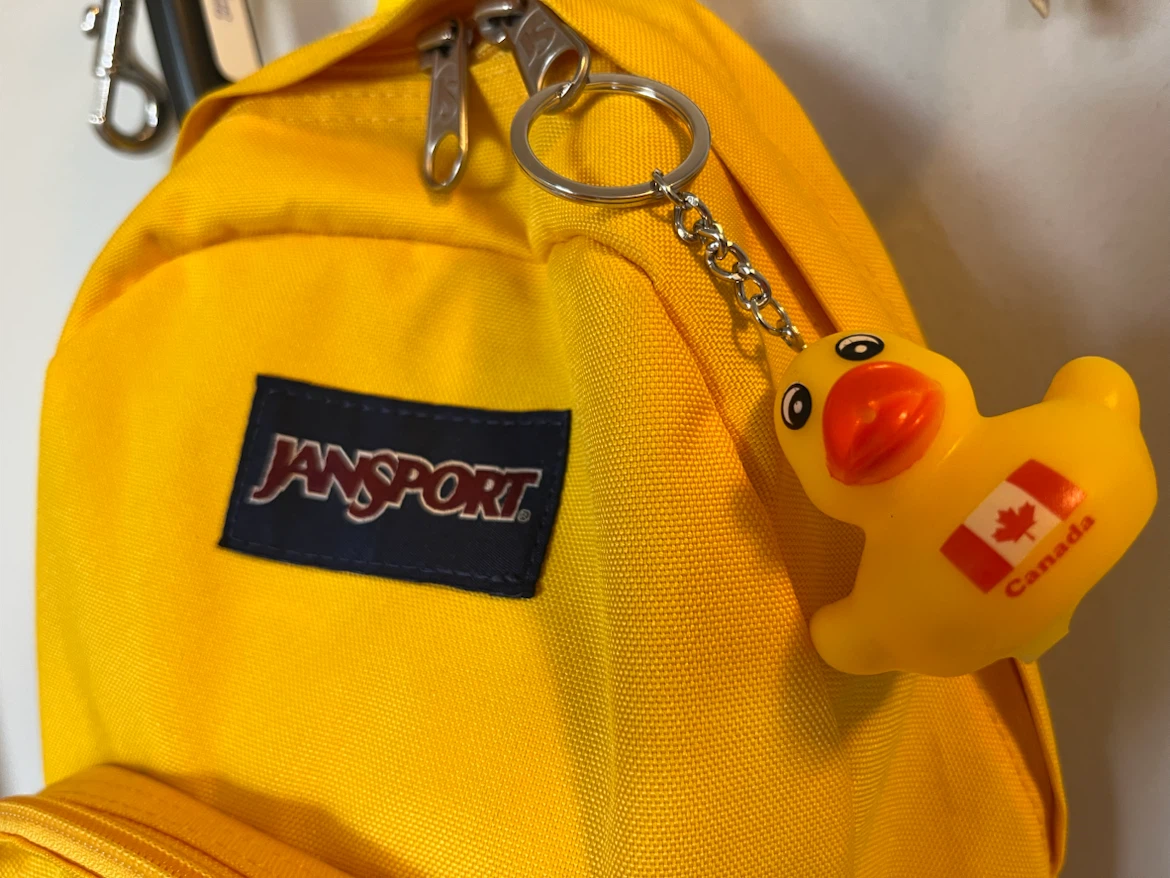 Assorted Jansport Backpacks - photo 3