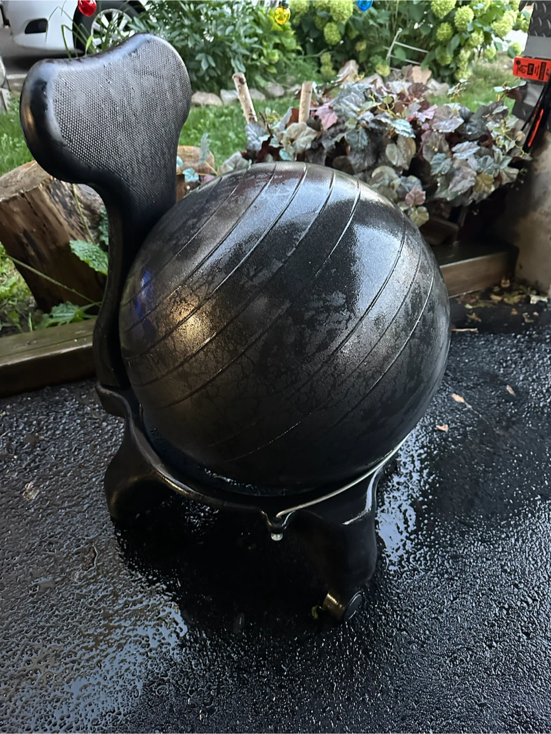 Stability Ball with Base