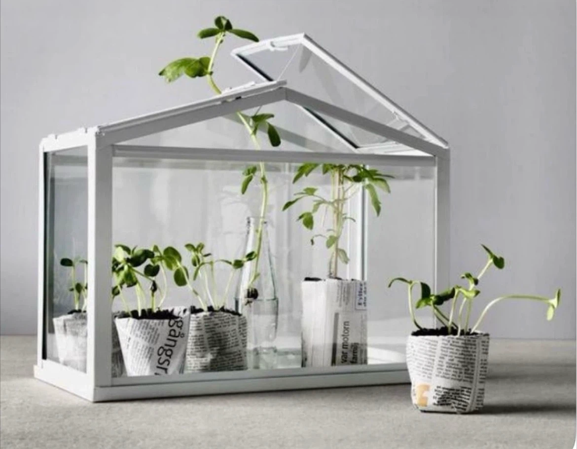 IKEA greenhouse / card box - photo 2