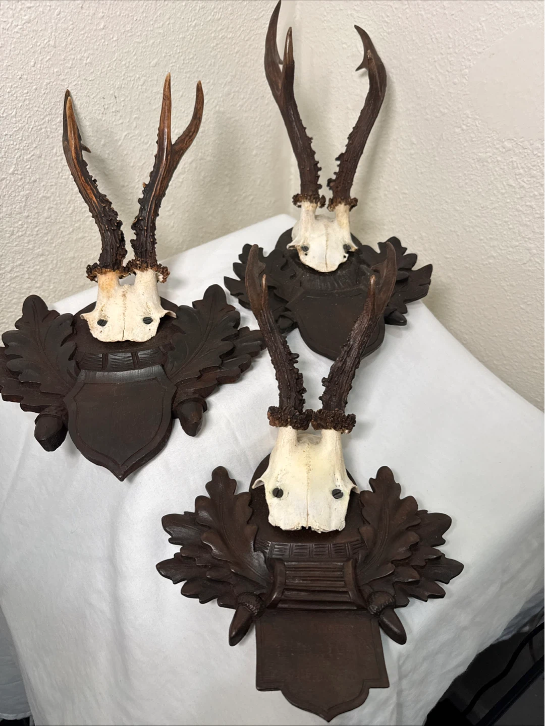 Vintage Taxidermy Deer Antlers with Carved Wood Mount