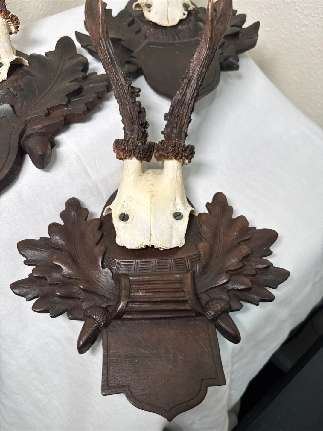 Vintage Taxidermy Deer Antlers with Carved Wood Mount - photo 4