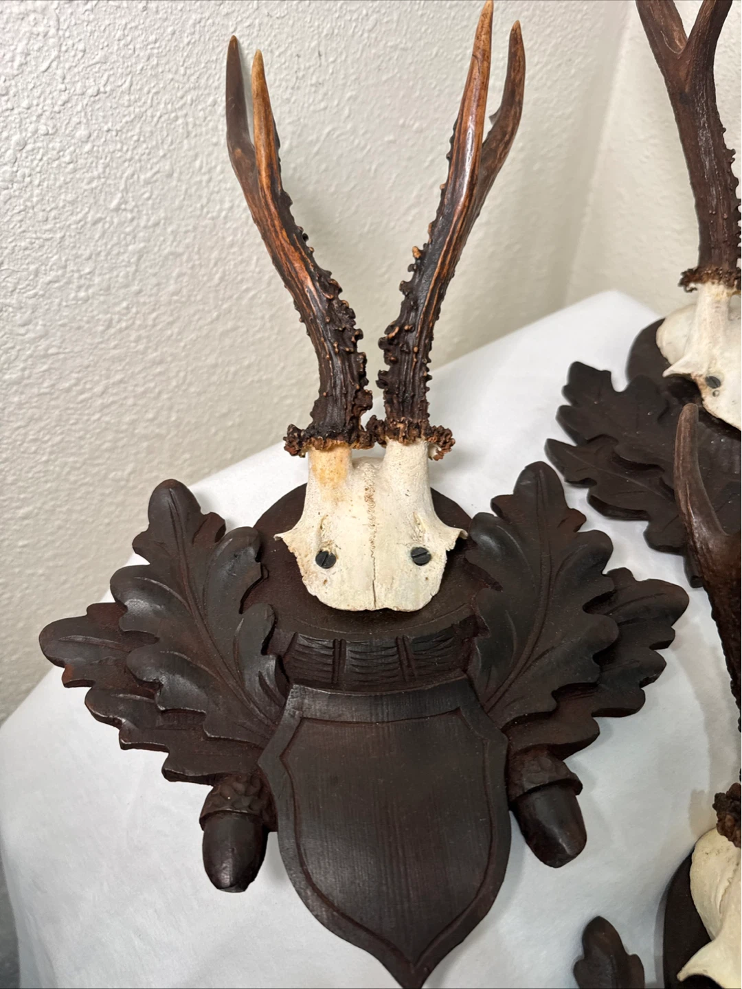Vintage Taxidermy Deer Antlers with Carved Wood Mount - photo 2