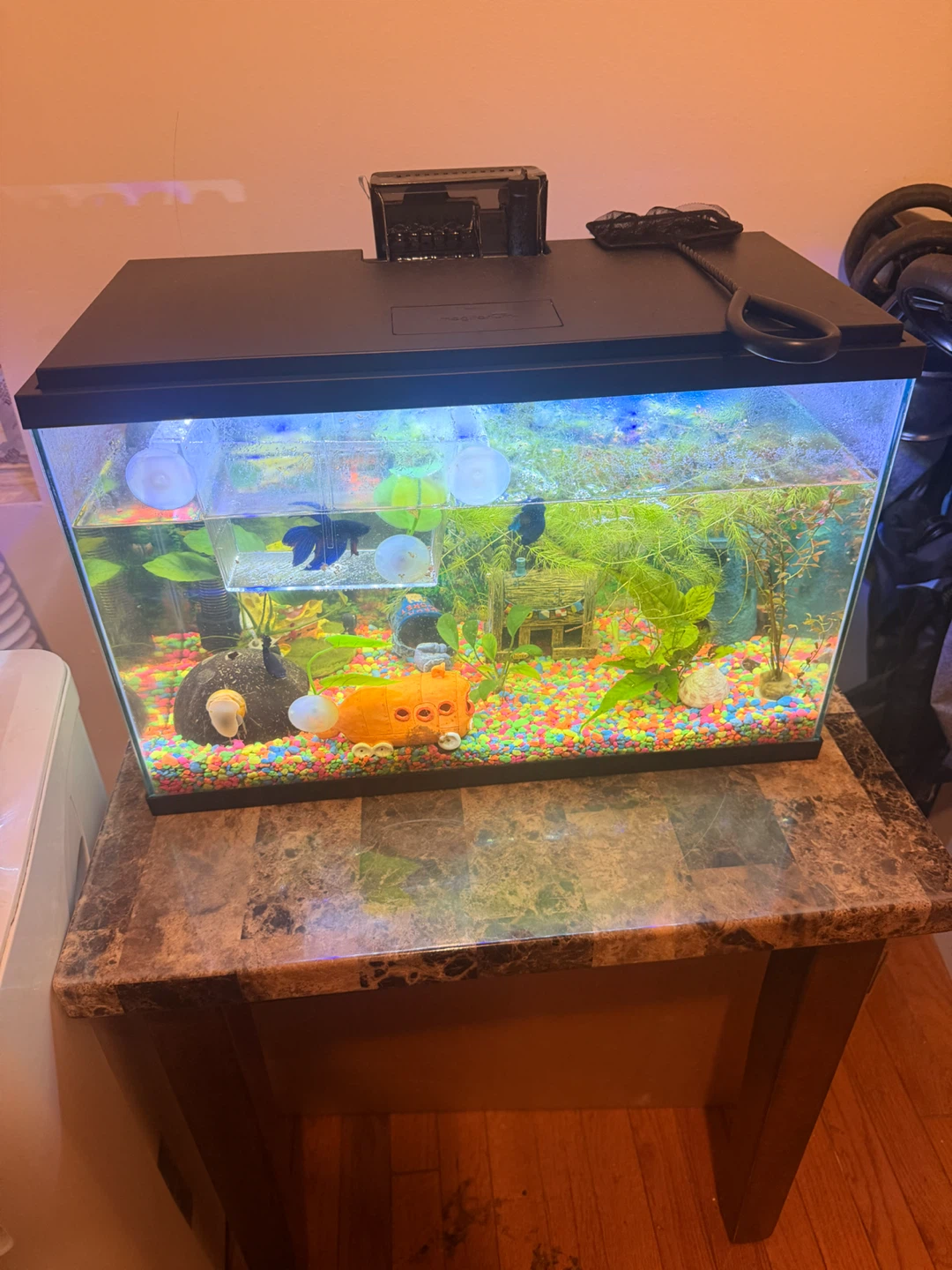 Imagitarium Aquarium with Filter and LED Light