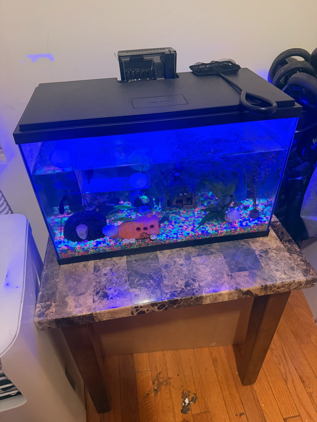 Imagitarium Aquarium with Filter and LED Light - photo 2