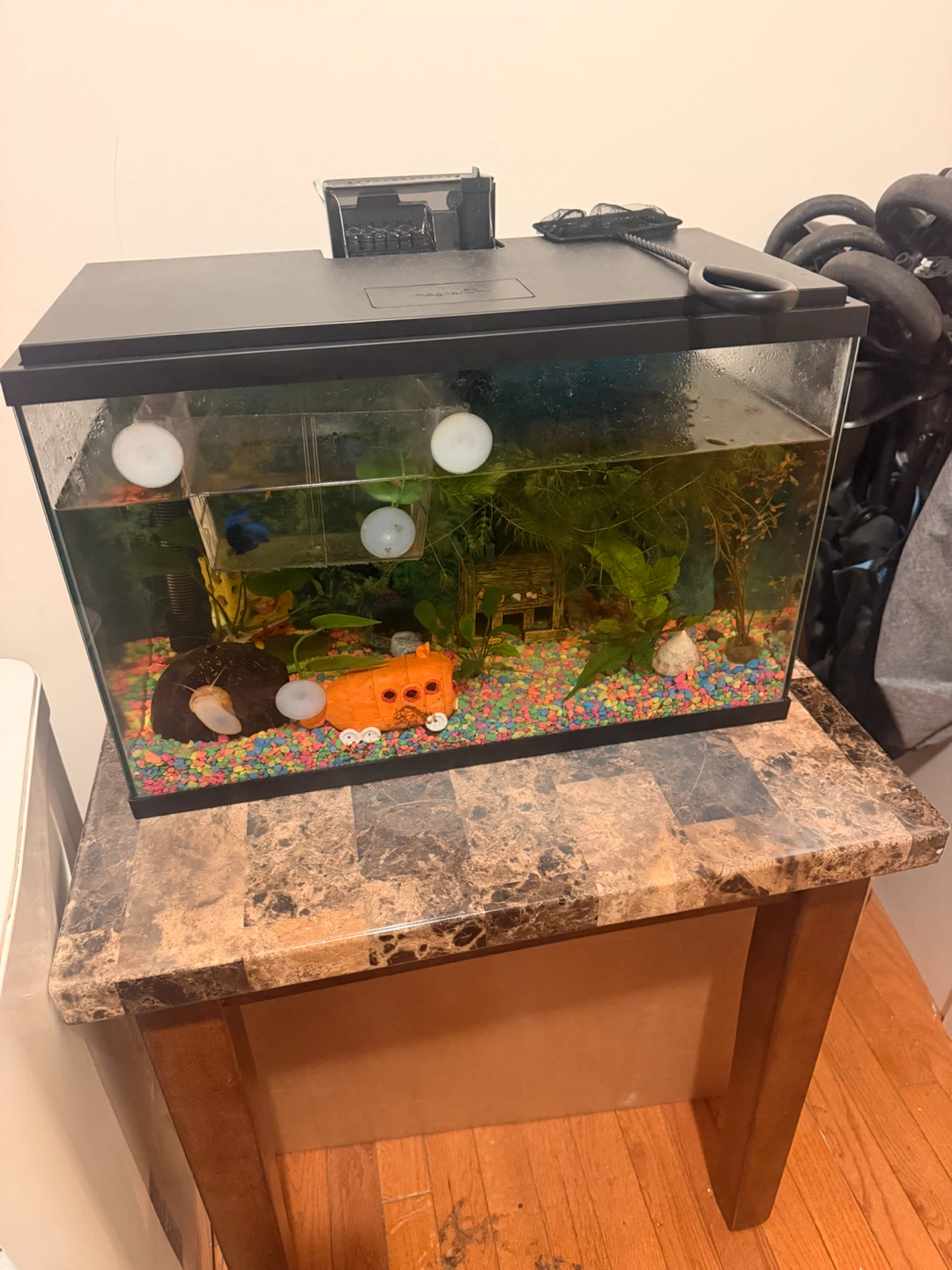 Imagitarium Aquarium with Filter and LED Light - photo 3