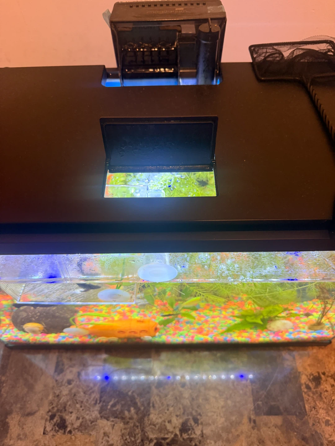 Imagitarium Aquarium with Filter and LED Light - photo 5