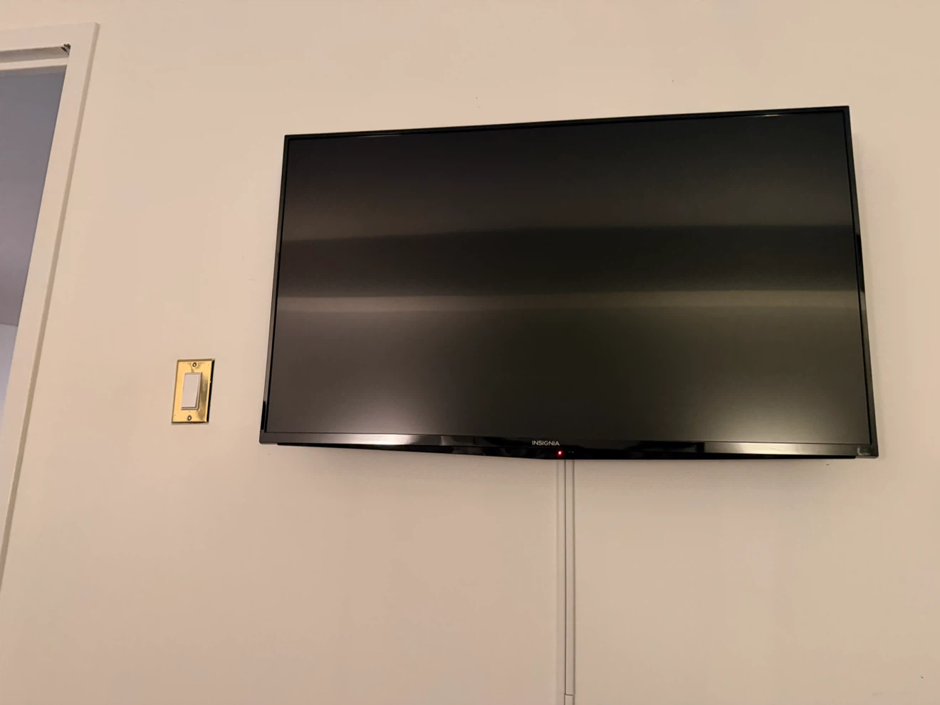 Insignia Flat Screen TV