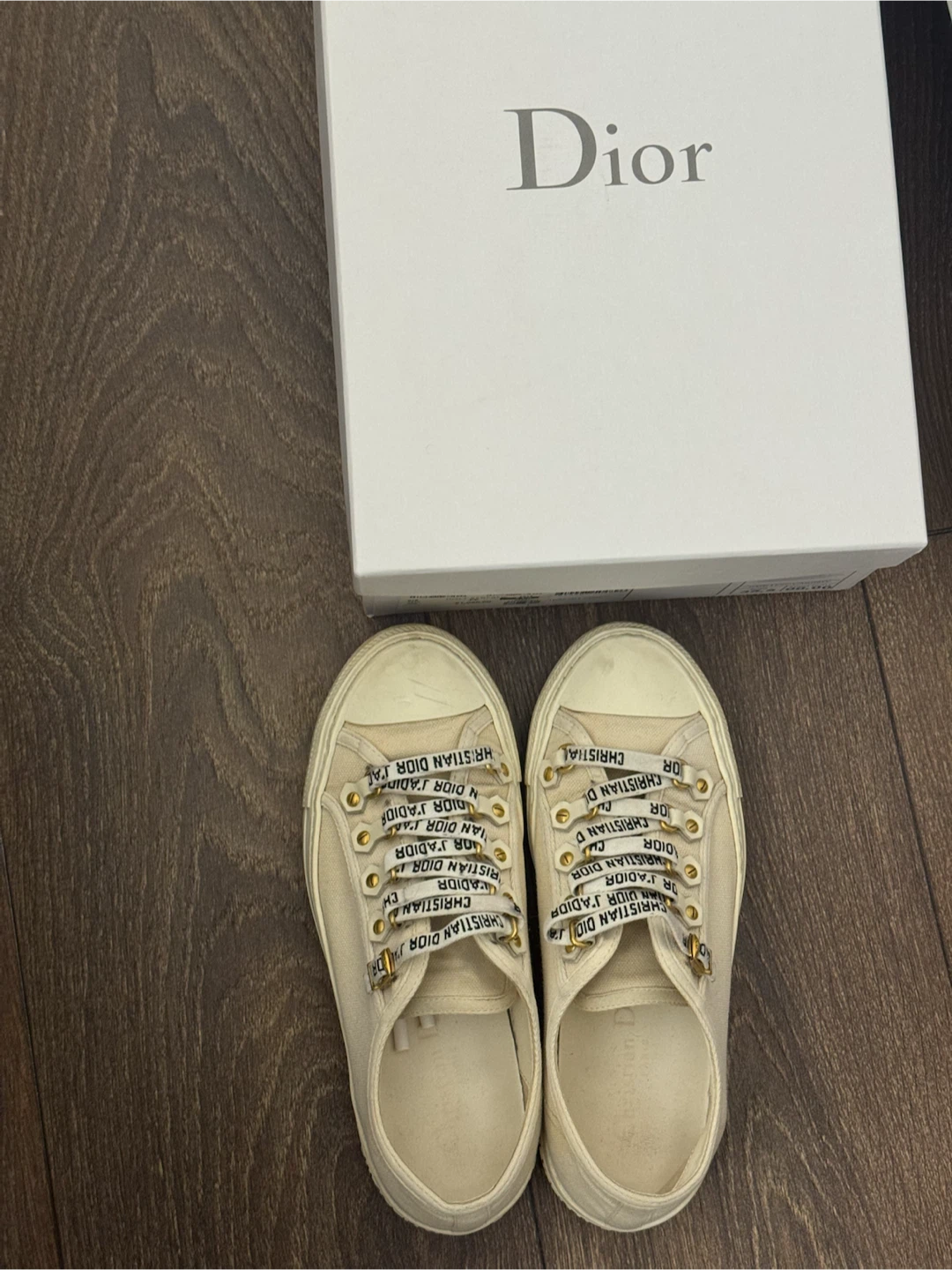 Christian Dior Canvas Sneakers