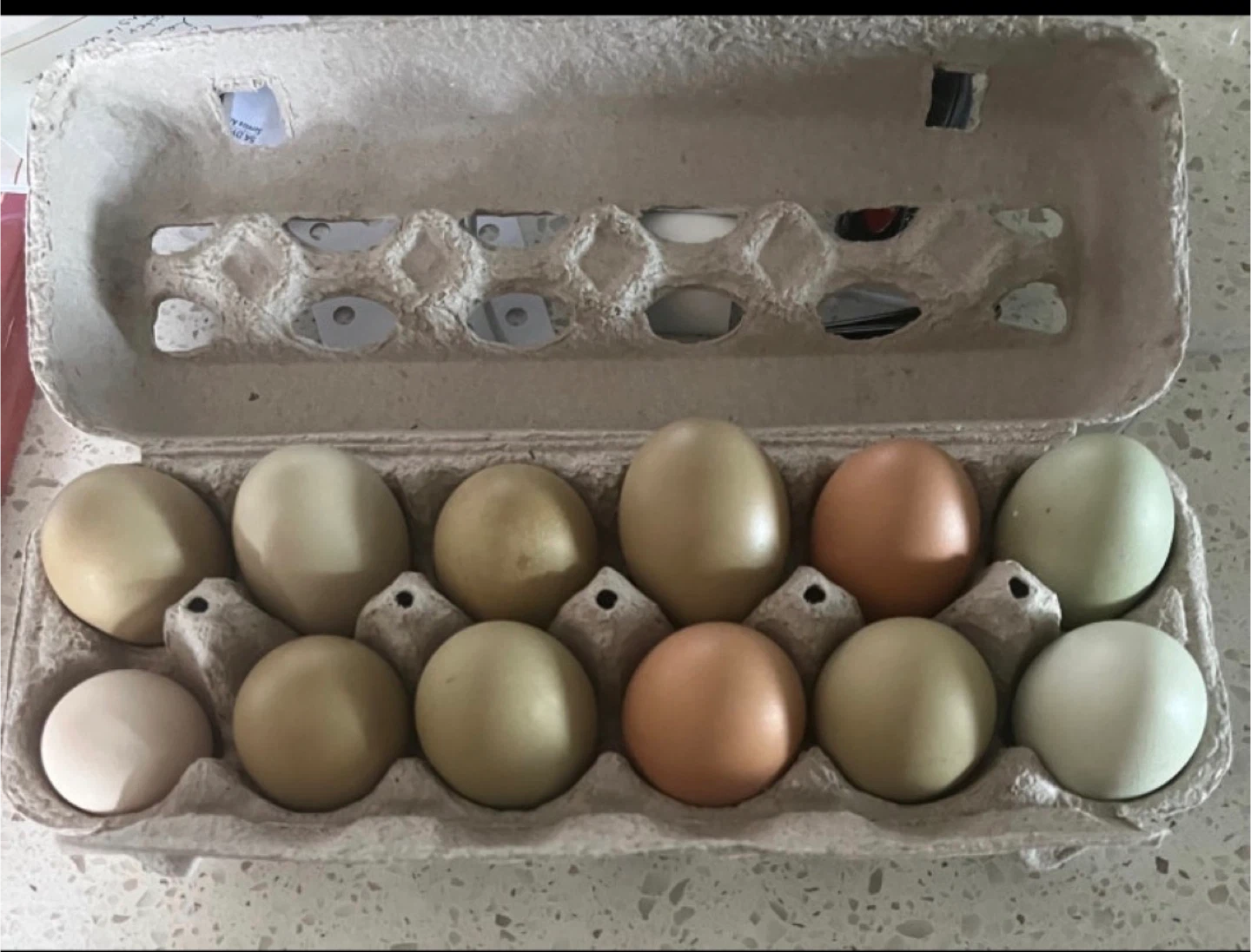 Chicken Eggs - Brown/Olive $5 dozen - photo 2