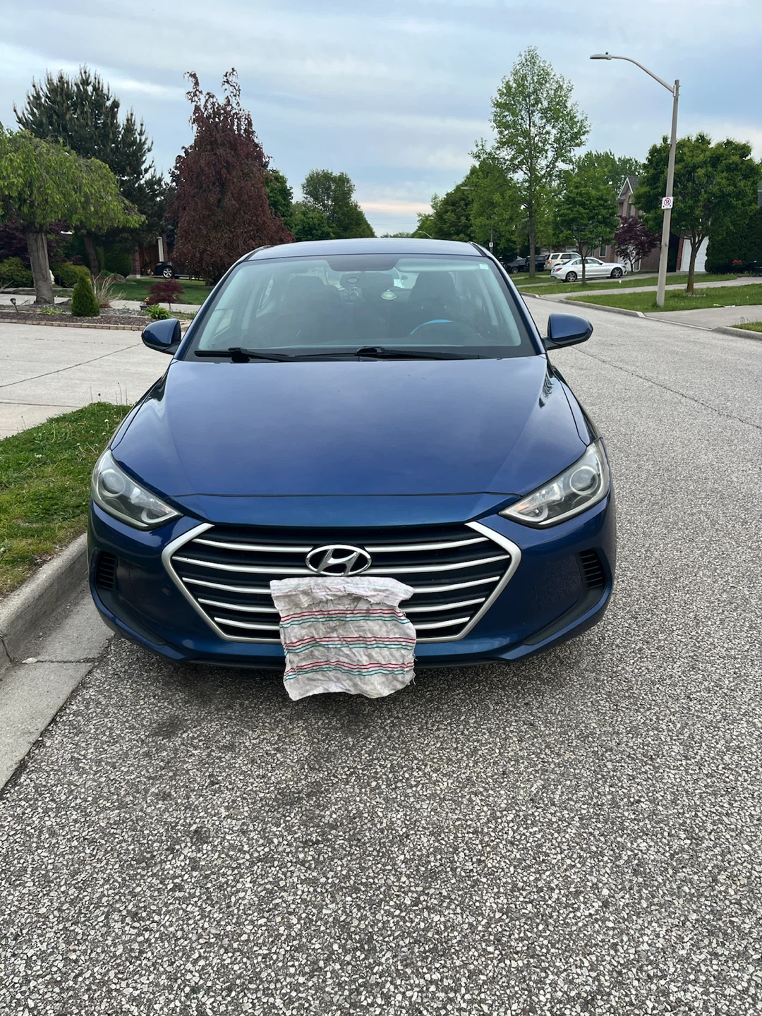Hyundai Elantra 2017 LE (AS IS)