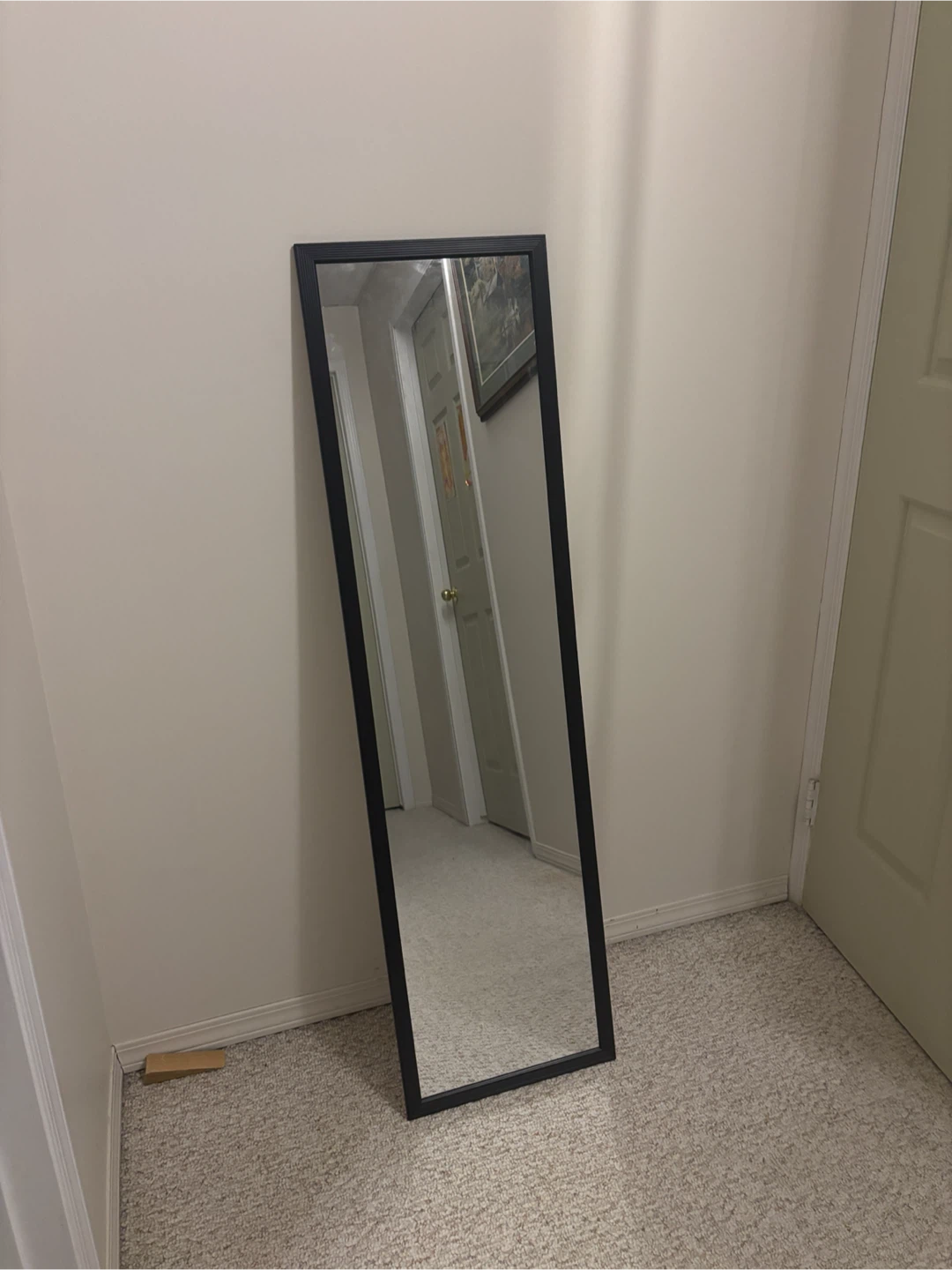 14x50in Mirror