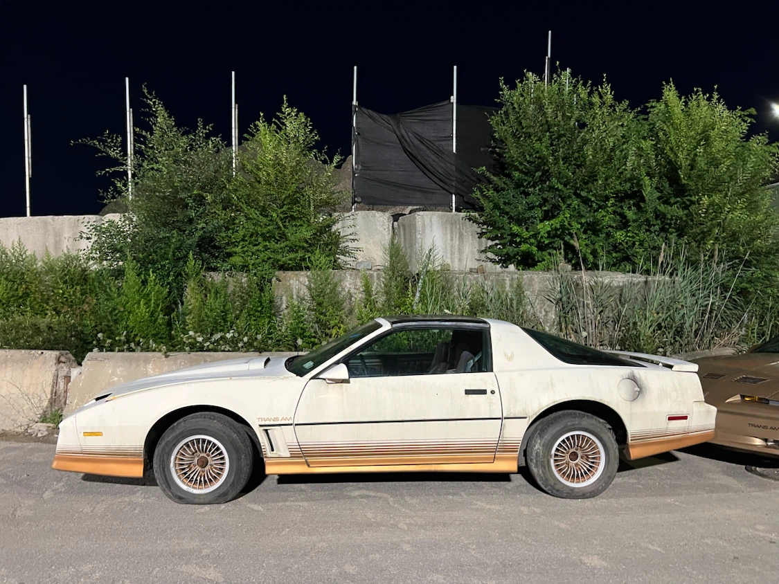1984 Pontiac Trans Am Needs TLC
