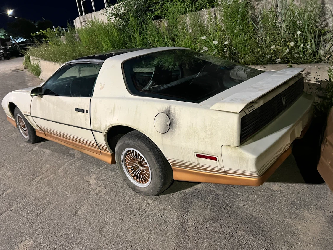 1984 Pontiac Trans Am Needs TLC - photo 4