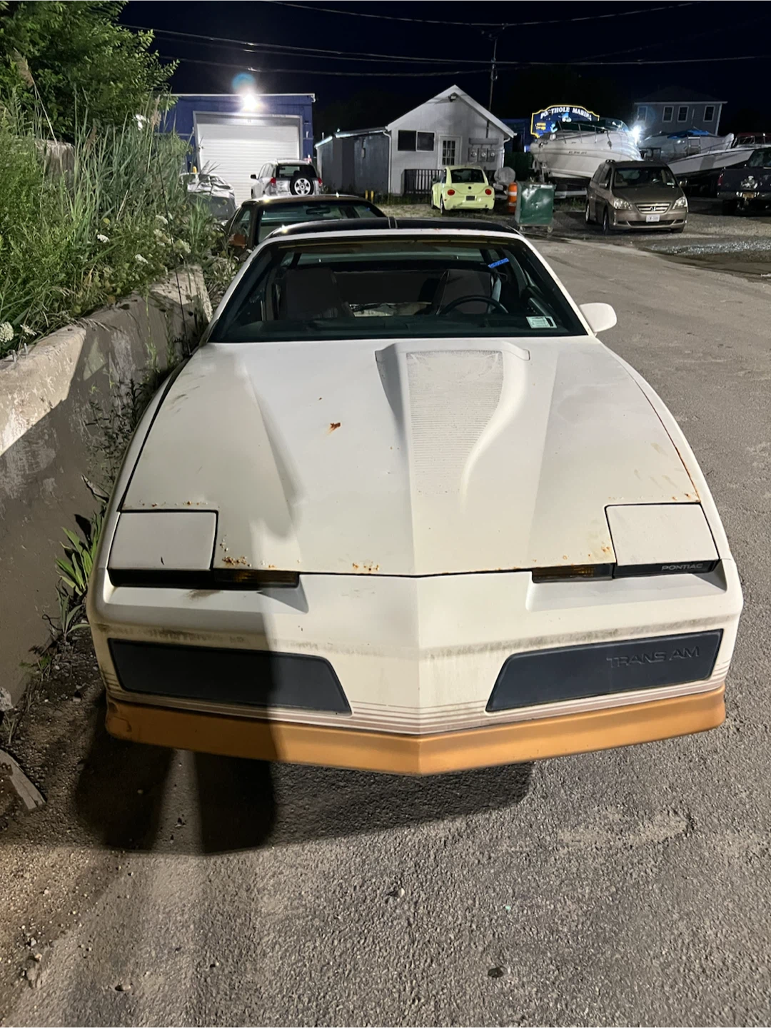 1984 Pontiac Trans Am Needs TLC - photo 5
