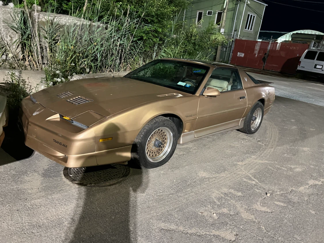 1987 Pontiac Trans Am GTA Needs TLC - photo 2