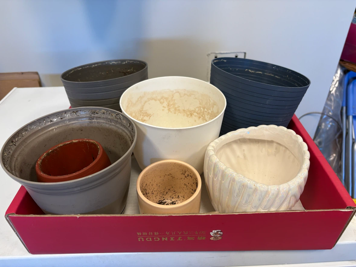 Assorted Planters - Various Sizes
