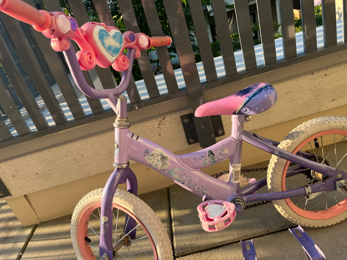 Girls' Purple and Pink Training Bike