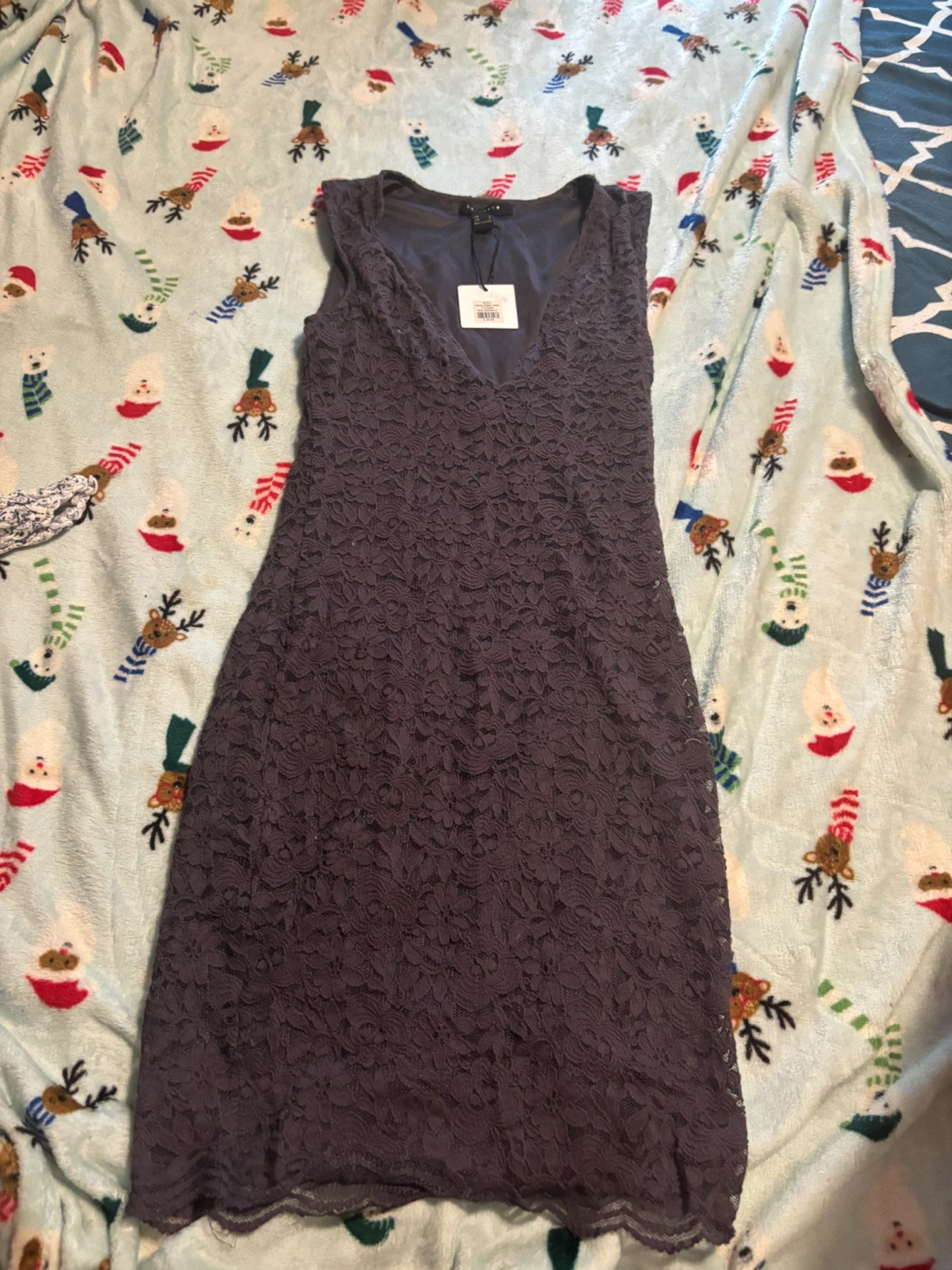 Revanped Sleeveless Lace Dress