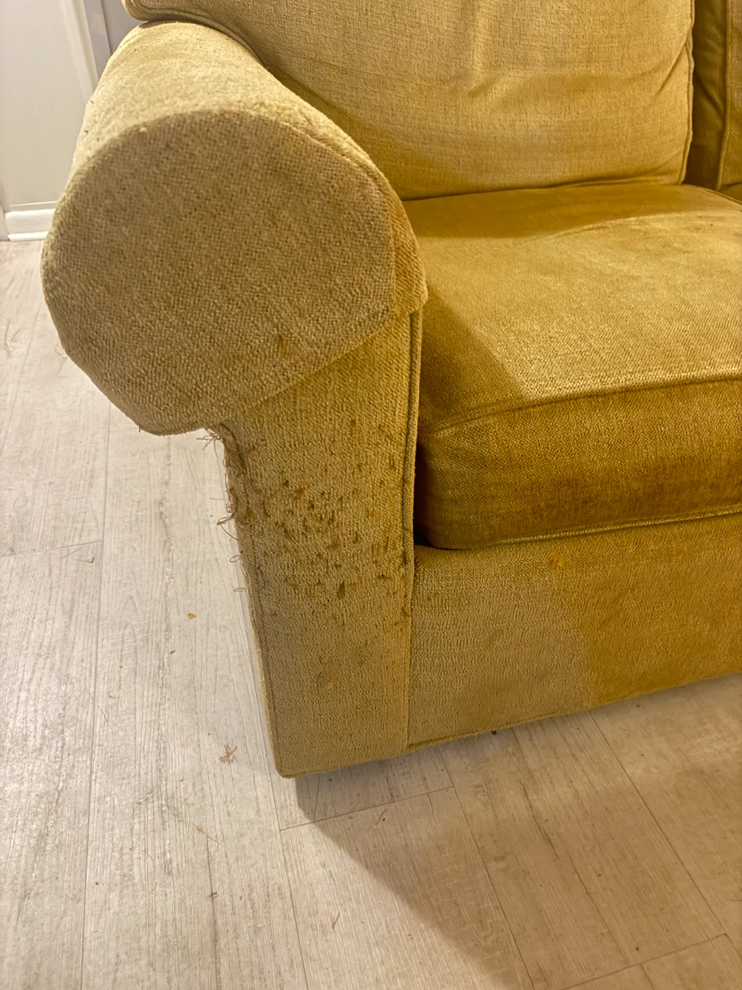 Sofa for Sale – Must Go by Friday! - photo 4