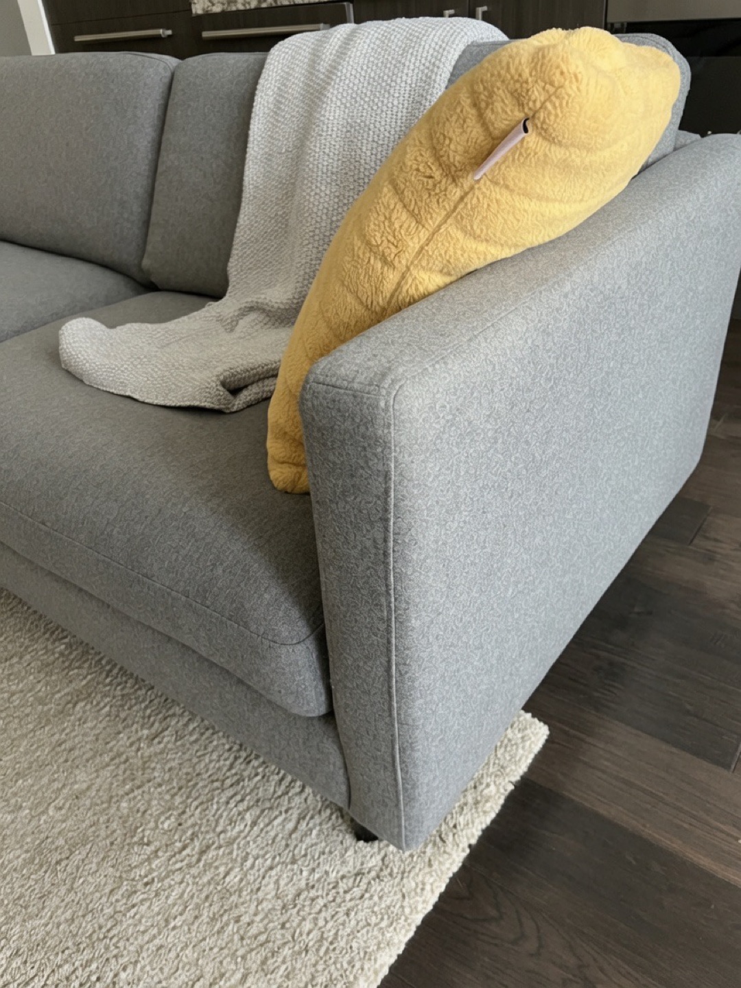 RSP 4800$ plus tax BoConcept 2.5-Seater Sofa - photo 5